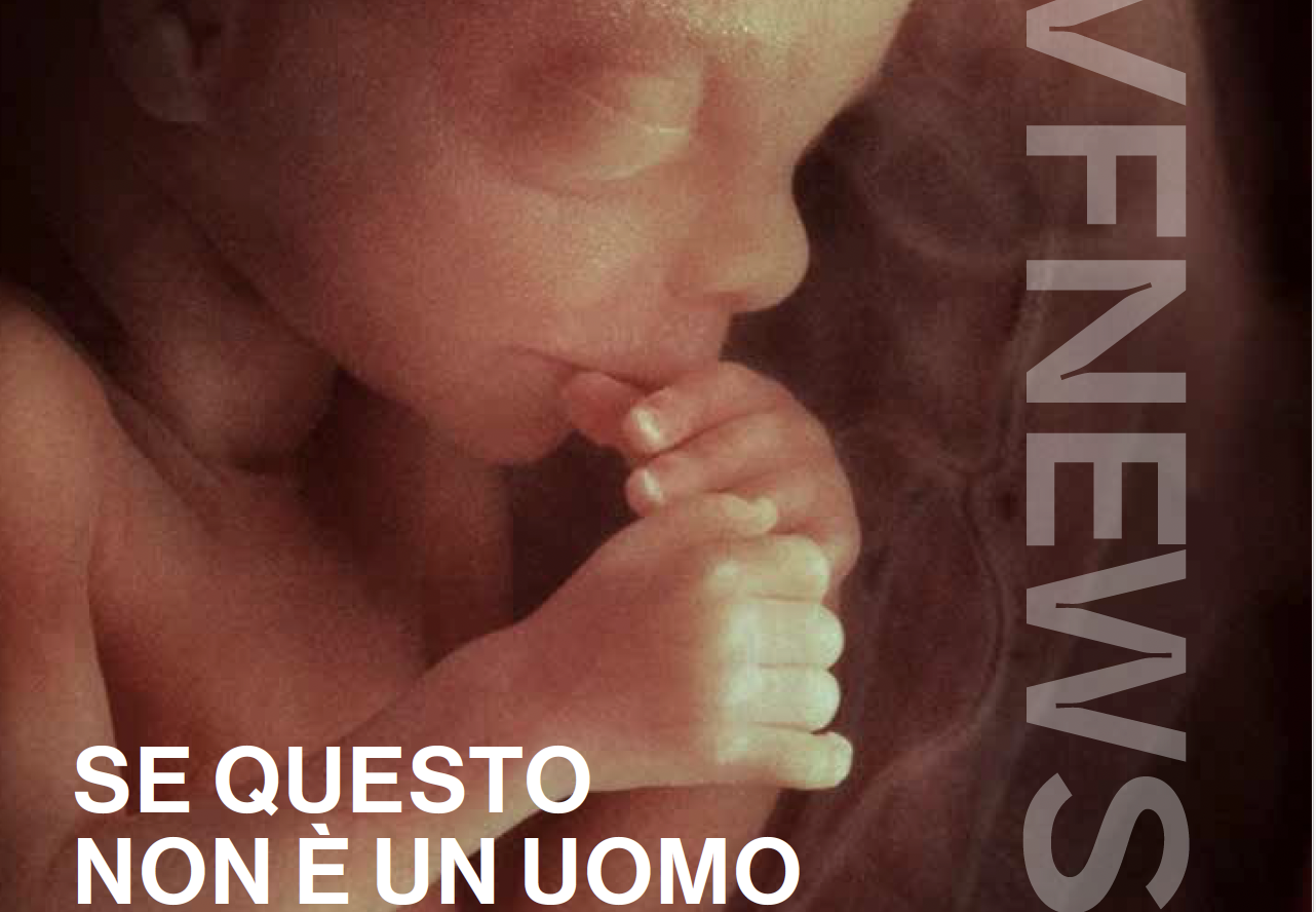PVFNews #140 - Se questo non è un uomo 1